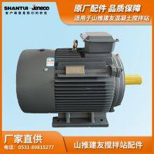 SHANTUI JANEOO Concrete Mixer Motor 37KW 55KW Y2-250M-4-B3 P55 thumbnail-2
