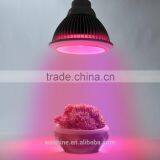 High-Tech Place 24v E27 COB LED Grow Light 21 Watts 50,000+ Hours Lifetime, Red And Blue Color Bands thumbnail-6