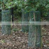 Plastic Extruded Tree Mesh Guard thumbnail-5
