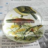 Professional paperweight crystal crafts with picture
