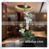 real touch artificial flowers preserved flower top quality artificial orchid flower
