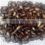 Hot Sale Roasted Black Watermelon Seed