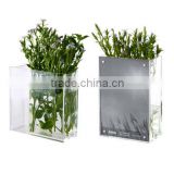 clear square acrylic vase