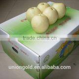 Light Yellow Fresh ya Pear Bulk Purchase thumbnail-2