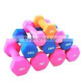 Good Quality Body Building Cast Iron Neoprene Dumbbell for Women