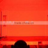 Led Moving Head 36*12W 6in1rgbwa UV for Production and Event thumbnail-6