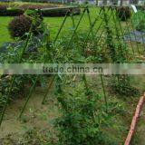 plastic coated garden stake sets for cucumber