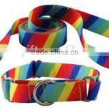 High Quality Adjustable Nylon Dog Collar and Leash Set for Small Medium Pets thumbnail-2
