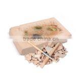 Fossil Photo Frame Dig Kit, 4 Assorted, 12pcs per Display. thumbnail-3