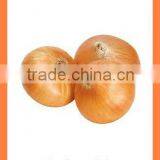 2016 BUlk MARKET PRICE Fresh Yellow Onion thumbnail-5