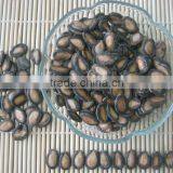 Chinese Black Watermelon Melon Seeds Kernels