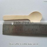 Disposable wooden mini spoon