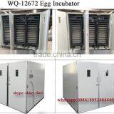 High Hatch Rate WQ-12672 Incubator Prices India Cheap Egg Hatching Machine
