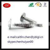 OEM Customized Galvanized Pan Head Screw thumbnail-2