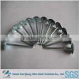 Smooth or Twisted Galvanized Umbrella Roofing Nails With Washer