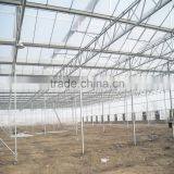 Commercial Poly Tunnel Greenhouse thumbnail-1