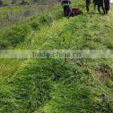 Mini Cheap Grain Hand Reaper in Harvesters thumbnail-5