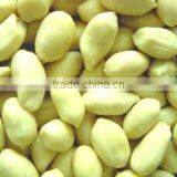 Peanut Red Skin Peeling Machiney/peeler/sorting Machine thumbnail-3
