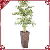60cm Height Resin Rattan Woven Large Office Decoration Used Tree Pot thumbnail-1