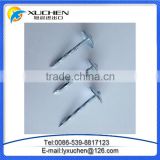 BWG9 BWG10 export to Africa and Myanmar Indonesia e-galvanized umbrella head ROOFING NAILS