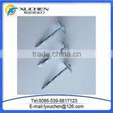 BWG9 BWG10 Export to Africa and Myanmar Indonesia E-galvanized Umbrella Head ROOFING NAILS thumbnail-1