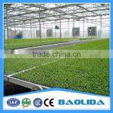 Multi-span Greenhouse thumbnail-2