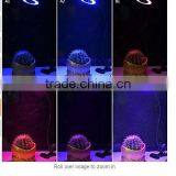 High Quality 10W Led Clip Grow Light Hydroponict Are Hot-selling for Factory Buttom Price in 2017 thumbnail-6