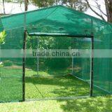 Steel Structure Planting Greenhouses / New Sunshine Flower Room thumbnail-5