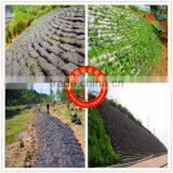 Filament Heat Nonwoven Ecological Bag thumbnail-1