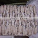 Frozen Baby Loligo Squid thumbnail-1