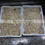 High Quality Hot Sales Frozen Short Necked Clam Meat thumbnail-6