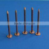 Copper Boat Nail Manufactured in China thumbnail-1