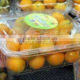 Disposable Packaging ;Vegetable Box ;Fruit Dish thumbnail-5