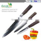Japanese VG-10 Core and 67 Layer Damascus Steel Professional Kitchen Knife 3-Piece thumbnail-2