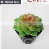 Mini Potted Succulents Plants Factory Selling Mini Artificial Succulents thumbnail-3