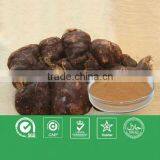 Hot Sell Fallopia Multiflora Plant Extract thumbnail-1