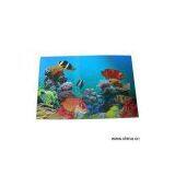 Sell Lenticular (3D) APET Printed Sheet thumbnail-1
