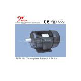 AEEF Series IEC standard three phase induction 1 hp motor