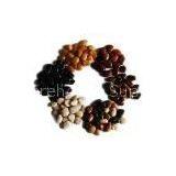 Landscape Natural Polished Pebble Stone thumbnail-3