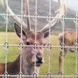 Goat Fence thumbnail-1