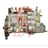 R4100G Engine Fuel Pump 10400874007 10 400 874 007