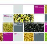 Mung Beans thumbnail-3