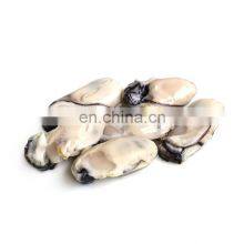 Frozen Oyster Half Shell Oyster thumbnail-5