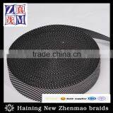 Fashion High Tenacity PP Webbing