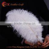 2016 Wholesale Cheap High Quality Plumes Ostrich Feather for Table Centerpiece thumbnail-3