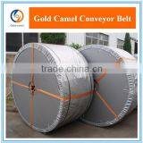 DIN22102-R Cold Resistant EP Conveyor Belt