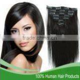 The hot selling 100% Unprocessed brazilian human hair clip in hair extensions