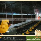 hot sale automatic modern poultry feeding pan system