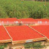 ORGANIC GOJI SIZE A280,A380 thumbnail-1