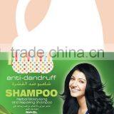 OEM Salon Hair Shampoo Series With Hair Style Products thumbnail-1
